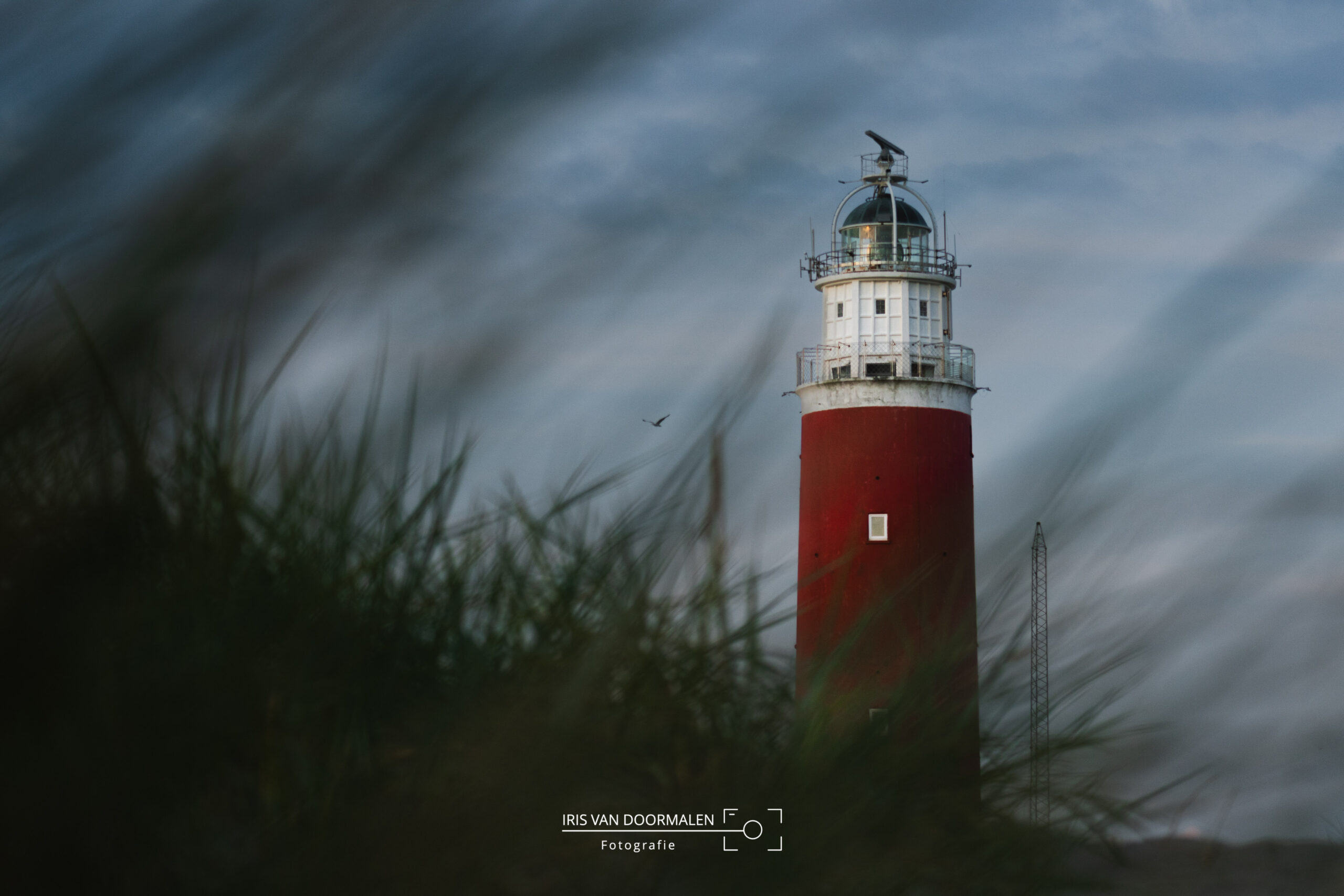 Texel