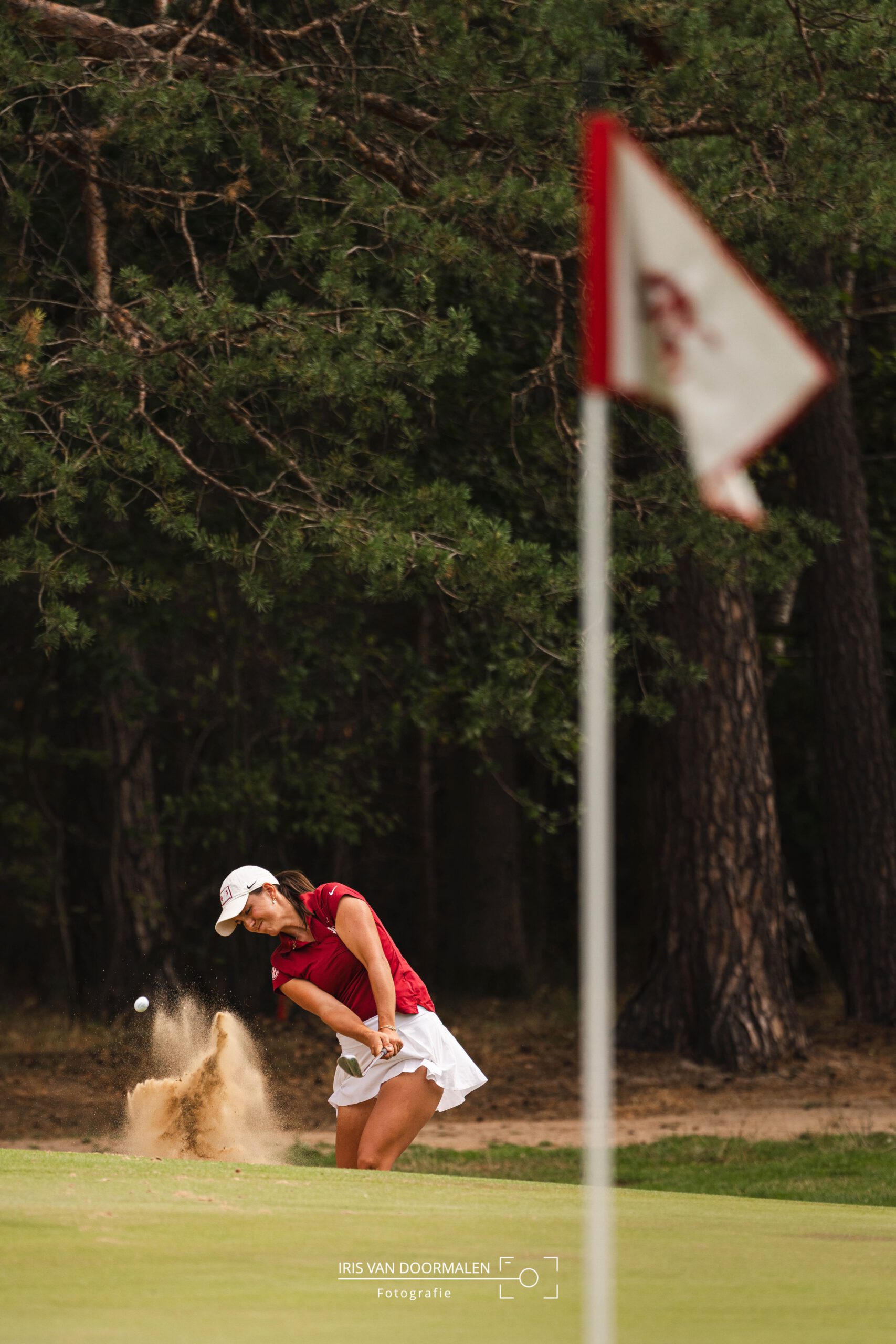 Golfer slaat bal uit de bunker richting de vlag op de green, de bal komt met zand omhoog