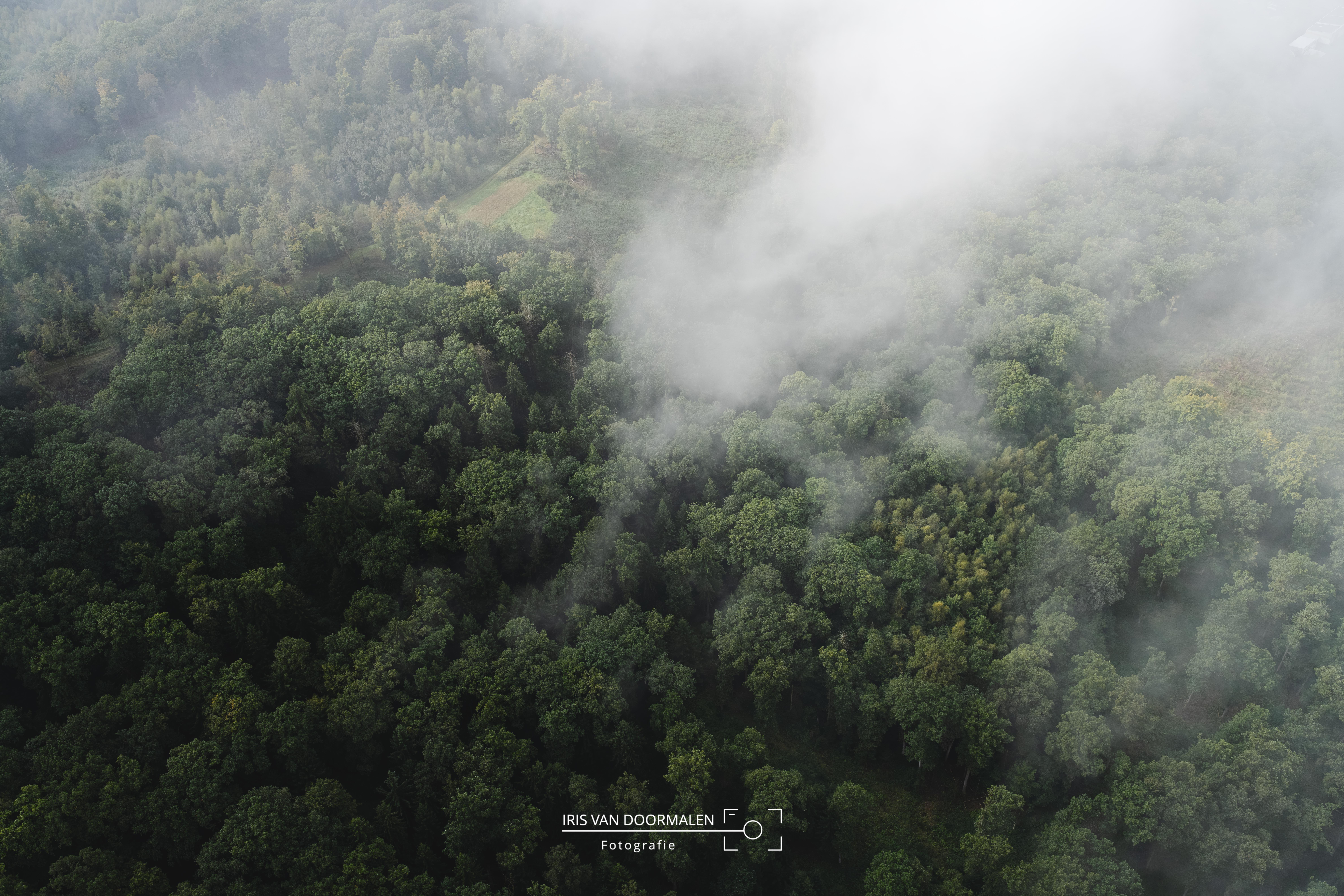 bossen en wolken, vanuit de luchtballon