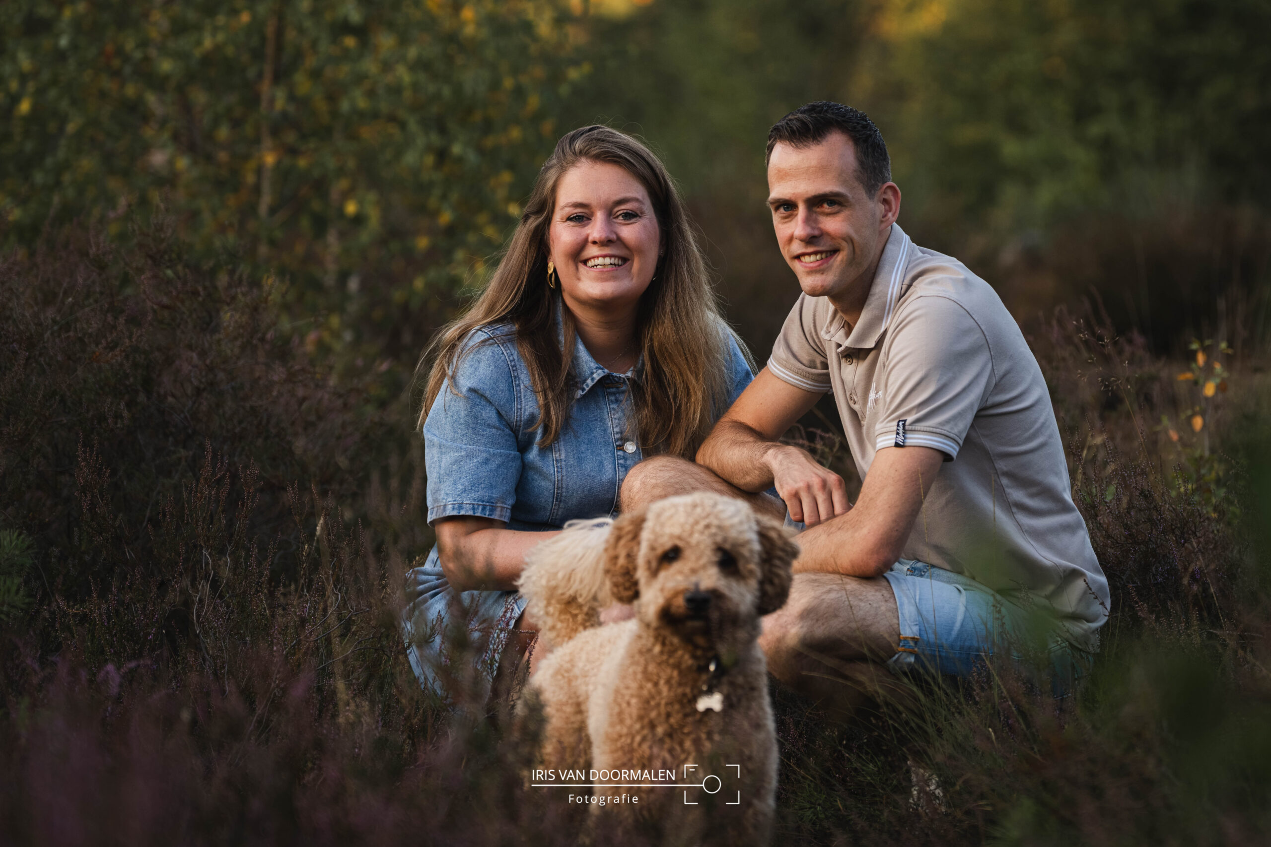 stel zit tussen de heide met hond