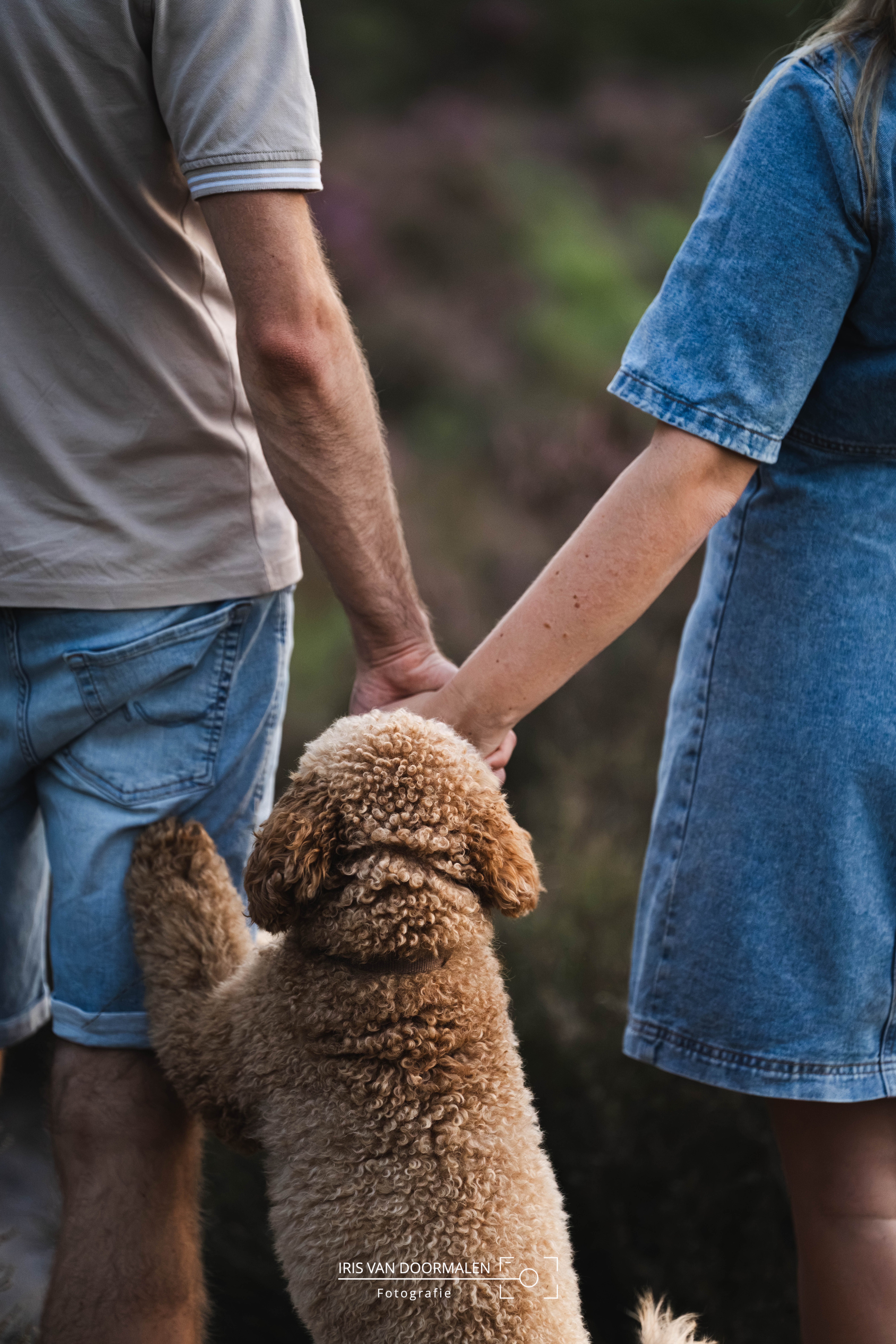 man en vrouw houden elkaars hand vast, hond springt op en tikt handen aan met snuit