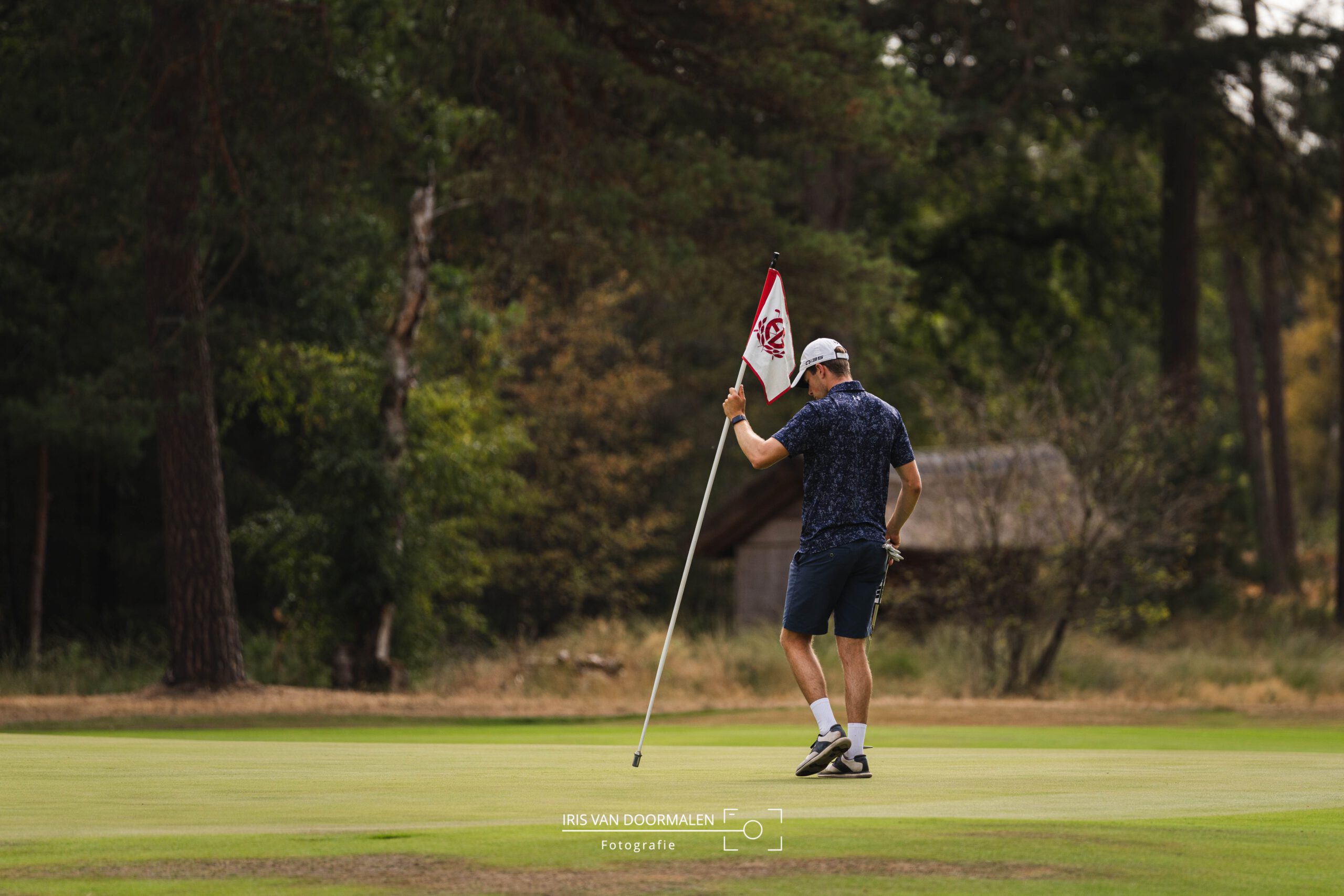 golfer plaatst vlag terug 